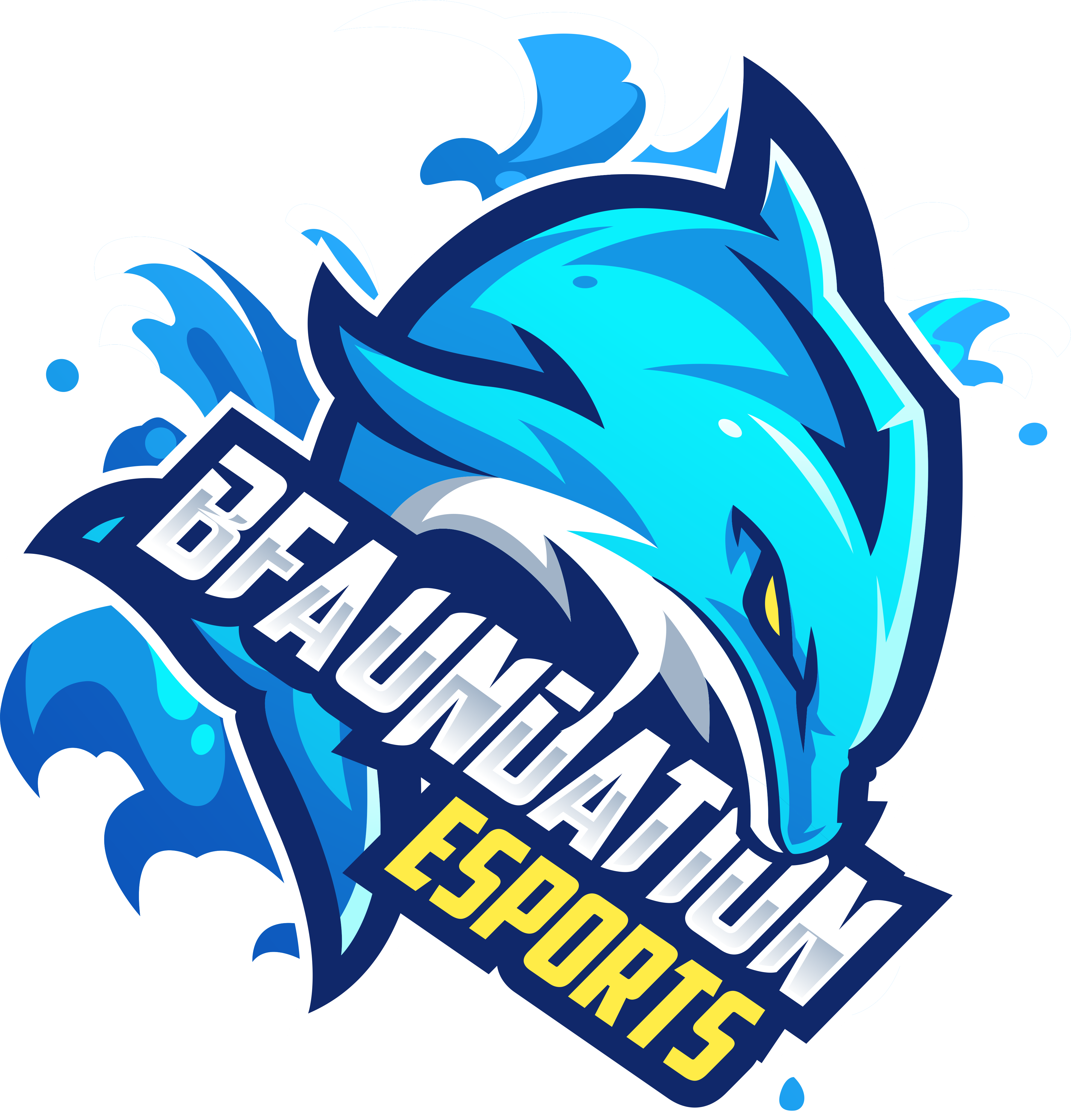 Bfaundation Esports